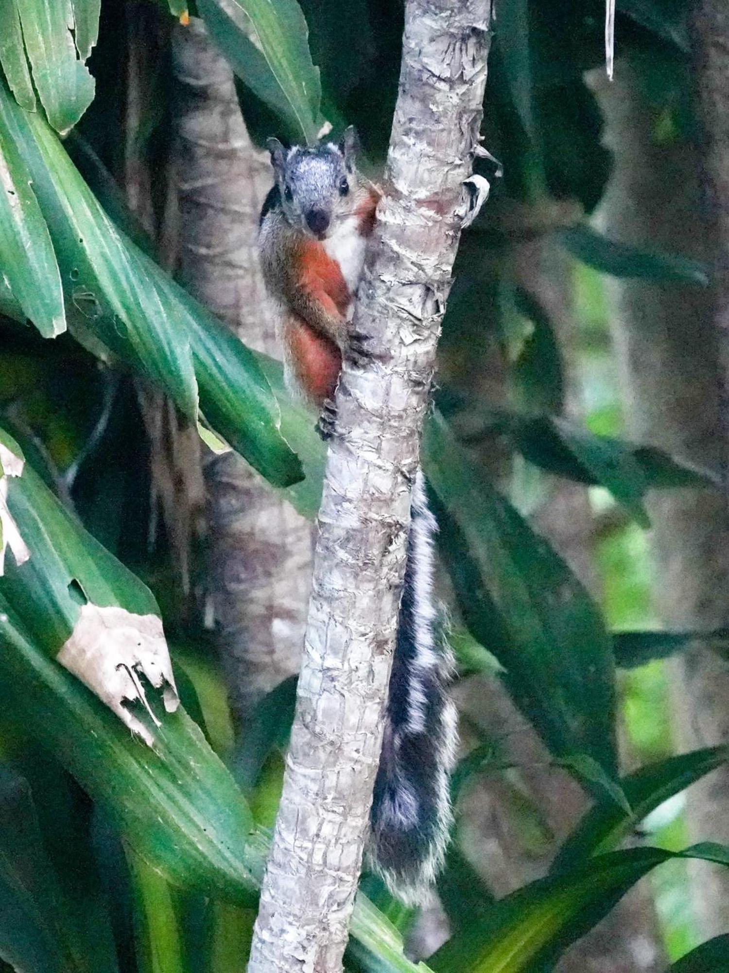 Campo Azul - Monteverde Ngoại thất bức ảnh